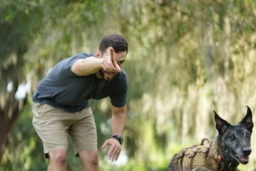 Veteran support services Orlando